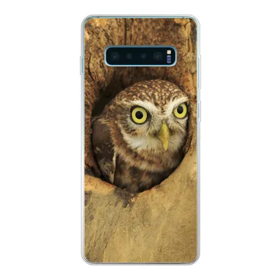 Produktbild von MuchoWow® Handyhülle Schutzhülle Hülle für Samsung Galaxy S10 Lite Braune Eule, die aus einem Loch in einem Baum schaut Silikon Softcase Handy Hülle - Schutz
