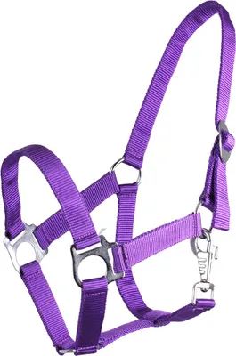 Produktbild von ARBO-INOX® Halfter mit Schiebeschnalle Stallhalfter Basic QHP Farbe - lila Größe - Cob Vollblut