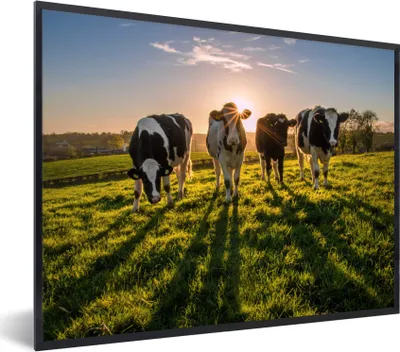 Produktbild von MuchoWow® MuchoWow® Gerahmtes Poster Kuh - Gras - Sonne 40x30 cm - Poster mit zchwarzem Bilderrahmen - Kunstposter - Wanddekorationen