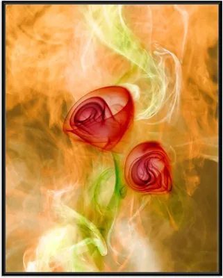 Produktbild von Wallario Wandbild Abstrakte Rosen, Größe: 40,30 x 50,30 cm, Poster mit schwarzem Aluminiumrahmen