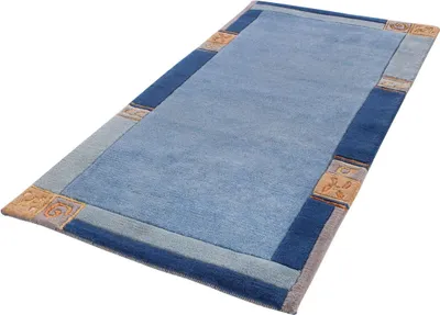 A rectangular rug with a blue center and a decorative border.