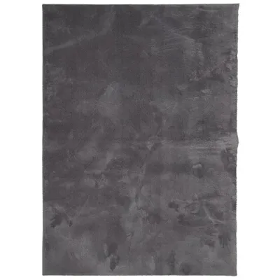 Produktbild von Teppich HUARTE Kurzflor Weich und Waschbar Anthrazit 240x340 cm