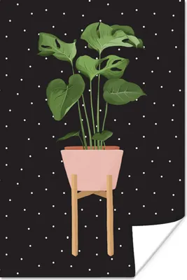 Produktbild von MuchoWow® Poster Zimmerpflanze - Monstera - Dots 20x30 cm - Papierdruck