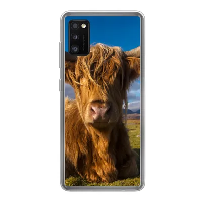Produktbild von MuchoWow® Handyhülle Schutzhülle Hülle für Samsung Galaxy A41 Schottische Highlander - Tiere - Gras Silikon Softcase Handy Hülle - Mobiltelefon