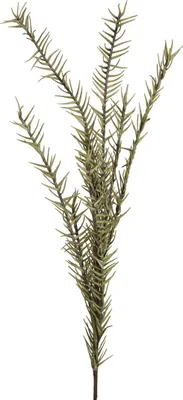 Obrázek produktu pro EUROPALMS Rozmarýnová větvička (EVA), umělá, zelená (82531064)