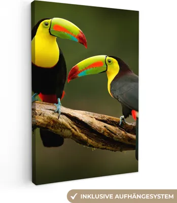 Produktbild von MuchoWow® - Leinwandbilder - Vögel - Tukan - Zweig - Tiere - Regenbogen, Wandbild, Wanddeko Bilder Wohnzimmer, 40x60 cm