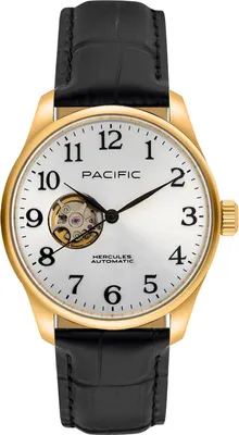 Immagine prodotto di Orologio Pacific Uomo Nero Pacific-PC00915