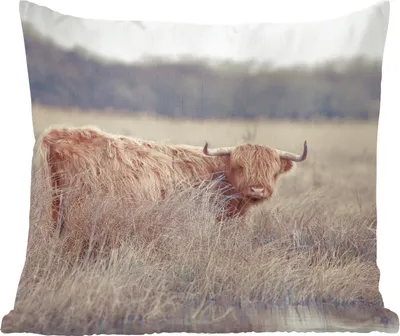 Produktbild von MuchoWow® Zierkissen Sofakissen Wohnzimmer Dekokissen 50x50 cm Scottish Hochlandrind - Landschaft - Gras - Komfort - Sofakissen