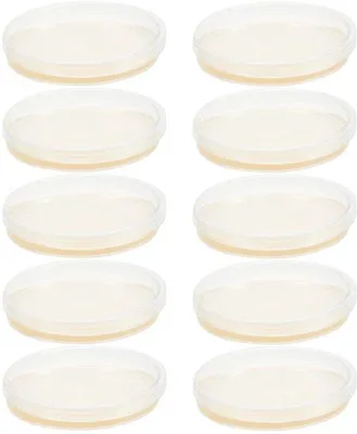 Produktbild von 10 Agarplatten, Petrischalen, wissenschaftliches Kultursatz, agarhaltig, nährend