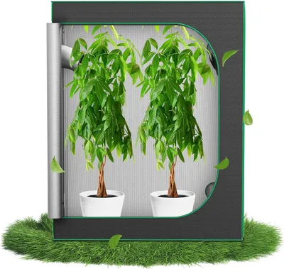 Zdjęcie produktu dla QEENTOE, namiot do uprawy roślin 120x60x150 cm, skrzynia do uprawy warzyw i ziół w pomieszczeniach, namiot do hodowli roślin