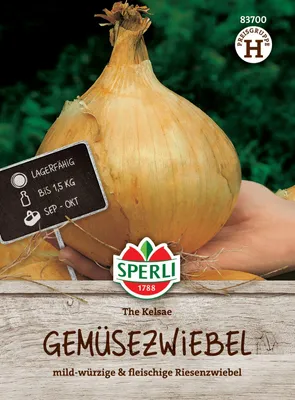 Artikelbild 2 von 'Zwiebel The Kelsae, Riesengemüsezwiebel' aus der Kategorie Zwiebelsamen
