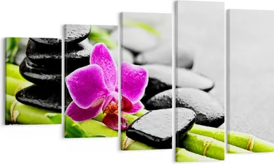 Produktbild von Bild auf Leinwand - Leinwandbild - Pflanze Steine Bambus Spa - 100x60cm - Wand Bild - Wanddeko - Leinwanddruck - Bilder - Kunstdruck - Wanddekoration - Leinwand bilder - Wandkunst - EG100x60-2681