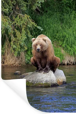 Produktbild von MuchoWow® - Repositionierbar - Wasser abweisend