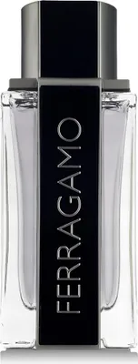 Immagine prodotto di Ferragamo Ferragamo EDT 100 ml M