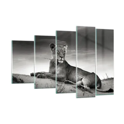 Produktbild von Bilder auf glas - Tierwelt weiblich katze Tier - 150x100cm - Glasbilder - Wandbilder - Kunstdruck - zum Aufhängen bereit - Wanddekoration aus Glas - Glas Bilder - Wandbild auf Glas - GEG150x100-3165