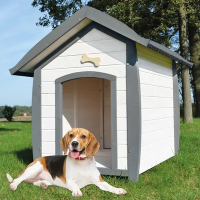 Produktbild von zooprinz Hundehütte Bella | L | mit dekorativem Hundeknochen | Wetterfest | 86x94x102cm (BxHxT)
