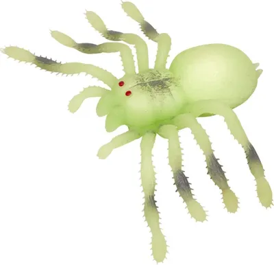 Produktbild von Nachtleuchtende Riesenspinne - Wild+Cool