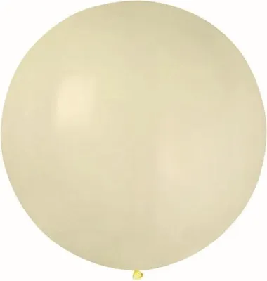 Immagine prodotto di Palloncino G220 palloncino pastello 0,75 m - avorio 59