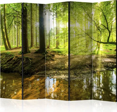 Produktbild von 5-teiliger Einseitiger Vlies Paravent - Forest Lake II 225x172 cm Landschaften c-B-0183-z-c