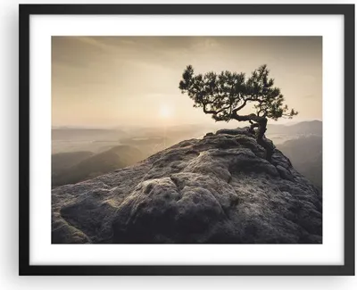 Produktbild von Gerahmtes Poster - Schwarzer Rahmen - Alt Kiefer Berge - 50x40 cm - Wand Bild - Wanddeko - Wandbilder - Kunstposter - Wandposter - Bilderrahmen - Bilder - Kunstdruck - Wandbild - P2BAA50x40-4334