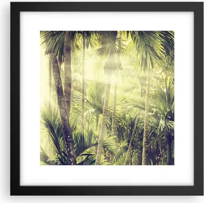 Produktbild von Gerahmtes Poster - Schwarzer Rahmen - Morgendämmerung Dschungel Palmen - 30x30 cm - Wand Bild - Wanddeko - Wandbilder - Kunstposter - Wandposter - Bilderrahmen - Bilder - Kunstdruck - P2BAC30x30-4450
