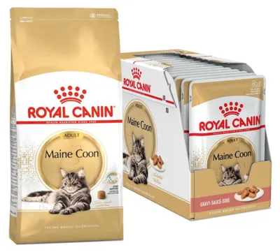 Zdjęcie produktu dla Royal Canin Maine Coon 10kg+12x85g Karma Dla Dorosłego Kota