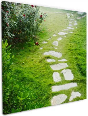 Produktbild von Wallario Premium Leinwandbild Steinweg im Grünen in Größe 50 x 50 cm