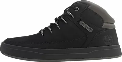 Image de Timberland Hiker Homme Botte à lacets Davis Square noir
