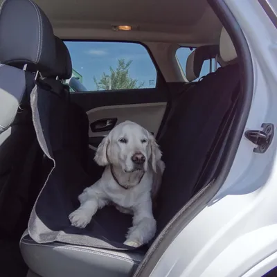 Image de Couverture de siège arrière de voiture pour chiens, hydrofuge