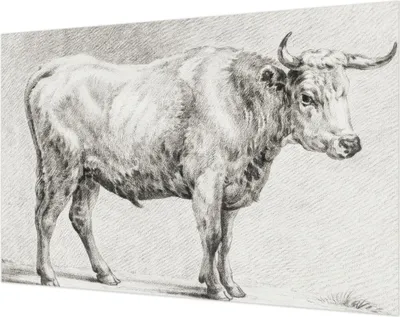 Zdjęcie produktu dla Tapeta ścienna – tapeta dekoracyjna do salonu – folia tapetowa do dekoracji ścian – 104 x 70 cm – Bullenstift