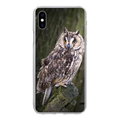 Produktbild von MuchoWow® Handyhülle Schutzhülle Hülle für iPhone Xs Eule - Nahaufnahme - Baum Silikon Softcase Handy Hülle - Handytasche
