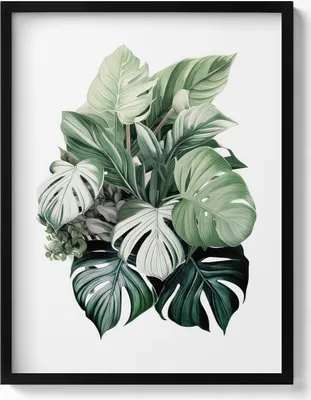 Produktbild von Bemalte Monstera-Blätter– Wandbild mit Rahmen – Gerahmtes Bild  – Wanddekoration – 60x80 cm –  Schwarz Rahmen