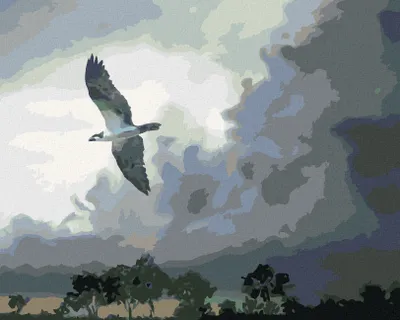 Produktbild von Zuty - Malen nach Zahlen - ADLER IM FLUG UND GEWITTERWOLKEN (D. RUSTY RUST), 40x50 cm, mit Keilrahmen (bereits gespannt)