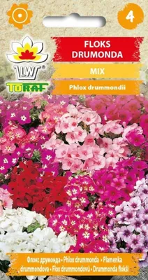 Obrázok produktu pre Drummond phlox MIX zmes Kvetinové semená - 499 Toraf