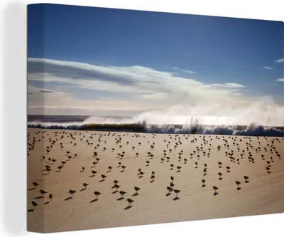 Zdjęcie produktu dla OneMillionCanvasses® - Obraz na płótnie - 140x90 cm, sandpiper on the , dekoracja ścienna - zdjęcie na płótnie - obraz na drewnianej ramie