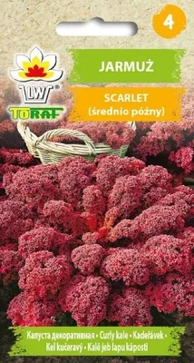 Obrázek produktu pro Toraf Kale Scarlet zeleninová semínka, balení 1g