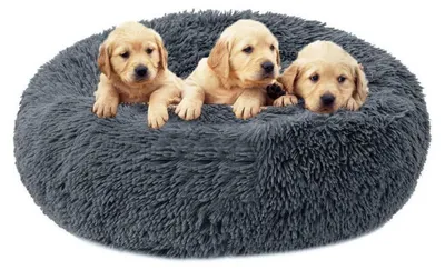 Produktbild von Hundebett Doughnut-Form abziehbar & waschbar, XXL 120cm dunkelgrau