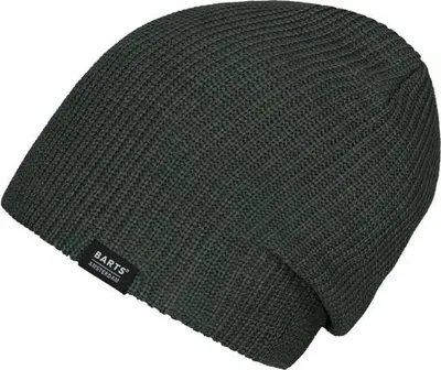 Produktbild von Barts Grundar Beanie Green onesize