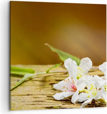 Produktbild von Bild auf Leinwand - Leinwandbild - Asien spa bambus blume - 50x50cm - Wand Bild - Wanddeko - Leinwanddruck - Bilder - Kunstdruck - Wanddekoration - Leinwand bilder - Wandkunst - AC50x50-2499