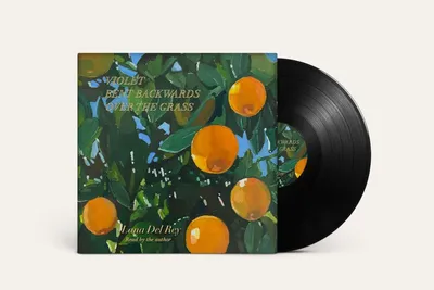 Image de Lana Del Rey - Violet Bent Backwards Over (LP)