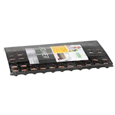 Immagine prodotto di Romberg Coco Plug Tray 52x33x3 cm, mit 77 Kokos-Quelltabletten - 12091005