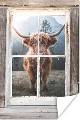 Produktbild von MuchoWow® Poster Schottischer Highlander - Kuh - Ansicht 20x30 cm - Papierdruck