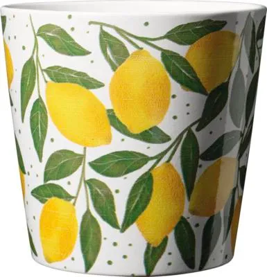 Produktbild von Blumentopf Soendgen Dallas Lemon green Keramik Ø 14 cm H 13 cm
