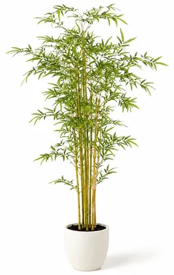 Zdjęcie produktu dla Sztuczna roślina bambusowa, 150 cm, w doniczce, idealna do salonu