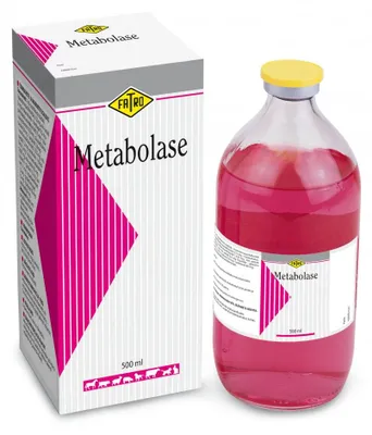 Productafbeelding van Metabolase Injectievloeistof Fatro, 500 ml