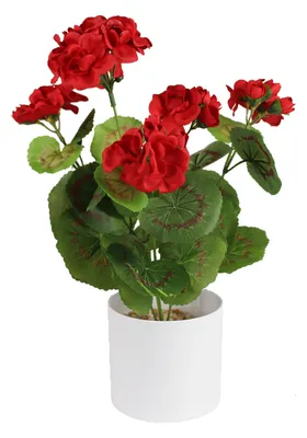 Obrázok produktu pre Umelý pelargónie 34cm Červená umelá rastlina Umelý kvet