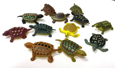 Produktbild von 11er Set Schildkröten Aufstellfiguren Figur Miniblings Schildkröte Reptil Turtle