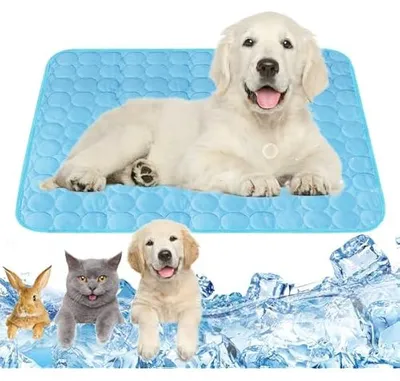 Obrázek produktu pro Chladicšª podlo?ka pro psy 70 x 55 cm, samochladicšª modrš¢, chladicšª podlo?ka pro psy, ko?ky, domš¢cšª mazlšª?ky, bez gelu, chladicšª deka pro psy, sklš¢dacšª psšª deka, chladicšª deka pro domš¢cnost, zahradu nebo do autoseda?ky (L)