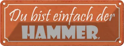 Produktbild von vianmo Blechschild 10x27 cm du bist einfach der Hammer Dekoration Spruch Zitat