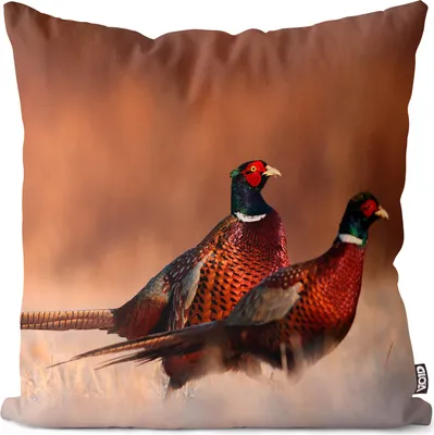 Produktbild von VOID Fasan Vögel Tiere Kissenbezug Kissenhülle Sofakissen Kissen Deko Outdoor-Kissen Dekokissen